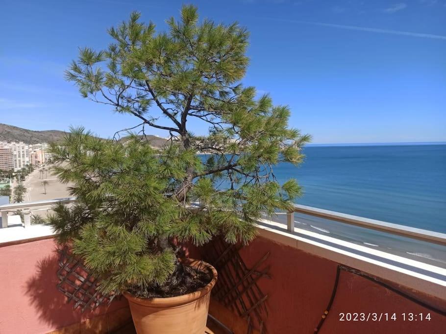 Espectacular Terraza Y Vistas En 1A Linea De Playa Appartement Cullera Buitenkant foto