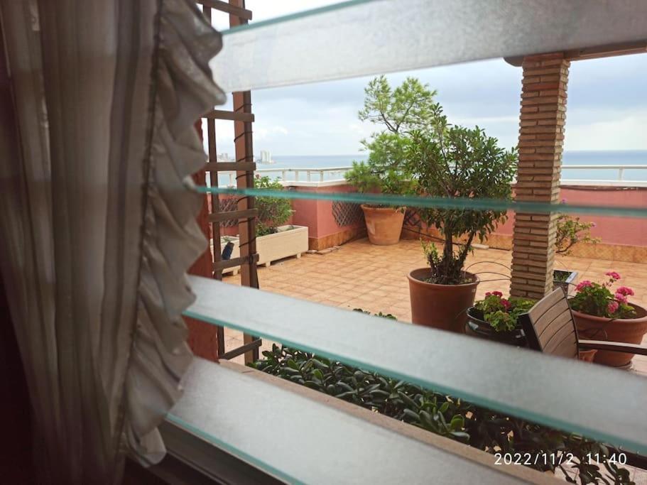 Espectacular Terraza Y Vistas En 1A Linea De Playa Appartement Cullera Buitenkant foto